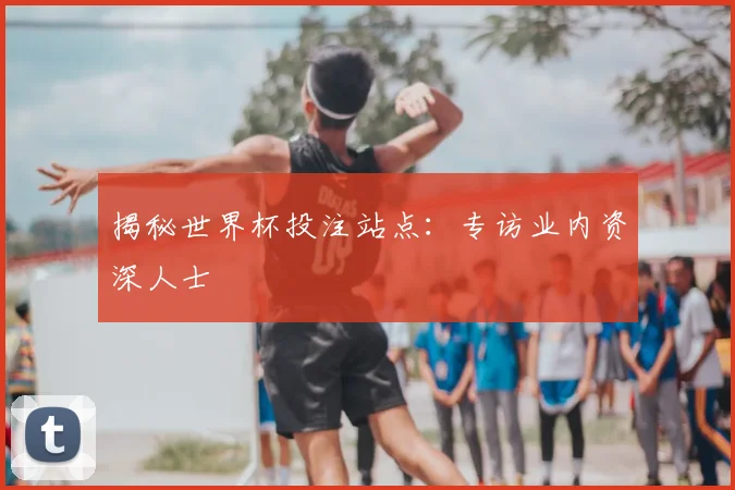 揭秘世界杯投注站点:专访业内资深人士