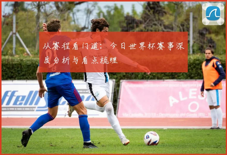 从赛程看门道：今日世界杯赛事深度分析与看点梳理