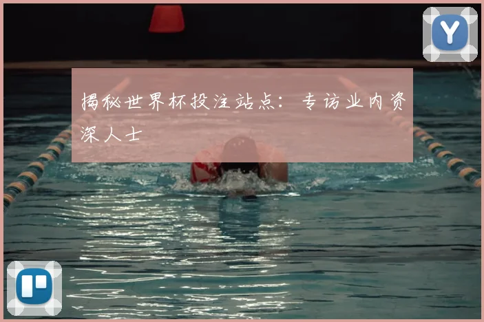 揭秘世界杯投注站点:专访业内资深人士